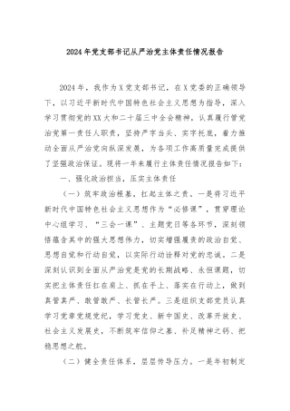 2024年党支部书记从严治党主体责任情况报告