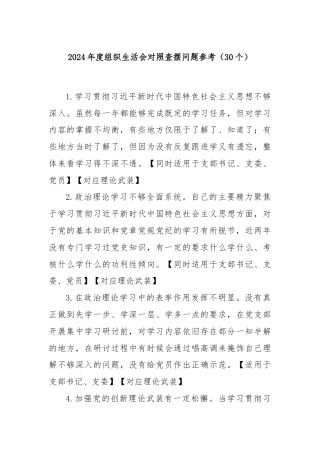 2024年度组织生活会对照查摆问题参考（30个）