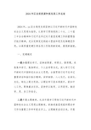 2024年区自然资源和规划局工作总结