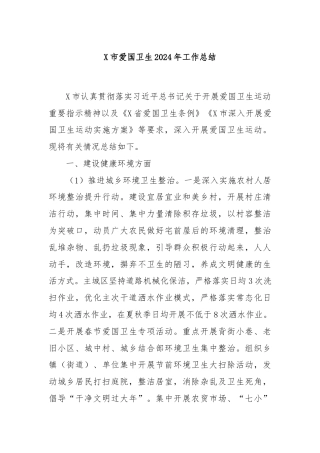 X市爱国卫生2024年工作总结
