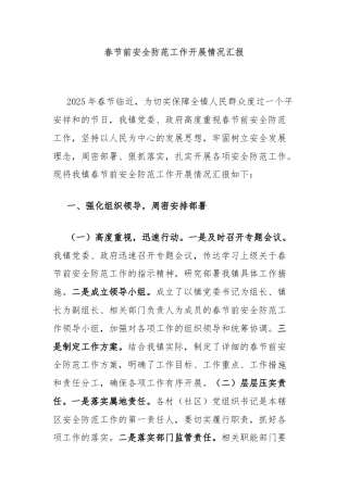春节前安全防范工作开展情况汇报