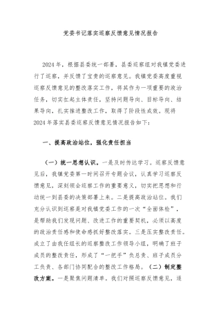 党委书记落实巡察反馈意见情况报告