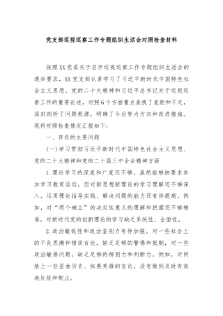 党支部巡视巡察工作专题组织生活会对照检查材料