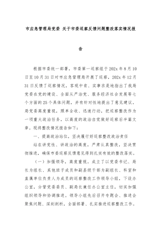 市应急管理局党委 关于市委巡察反馈问题整改落实情况报告