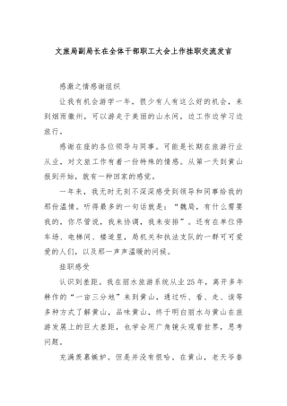 文旅局副局长在全体干部职工大会上作挂职交流发言