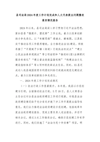 县司法局2024年度工作计划完成和人大代表提出问题整改落实情况报告