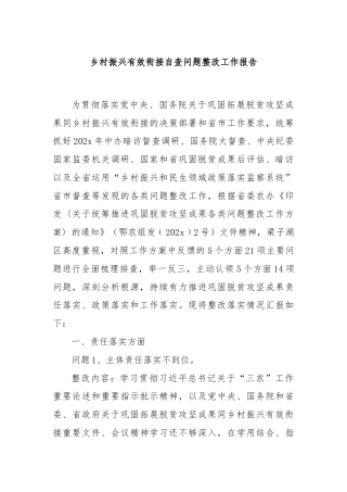 乡村振兴有效衔接自查问题整改工作报告
