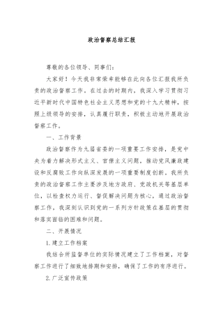 政治督察总结汇报