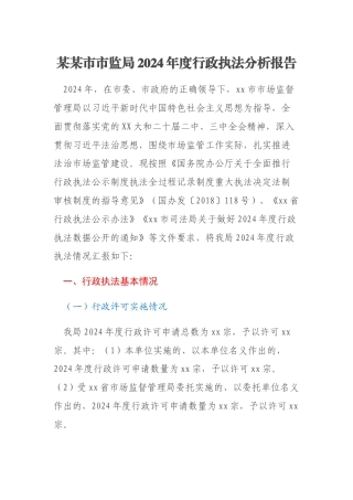 某某市市监局2024年度行政执法分析报告