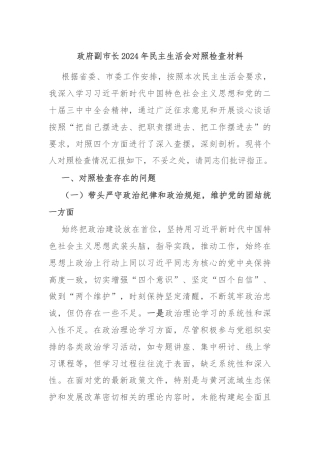 政府副市长2024年民主生活会对照检查材料