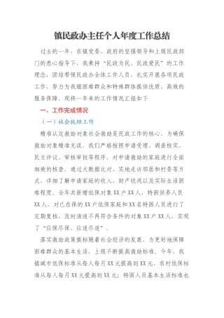 镇民政办主任个人年度工作总结