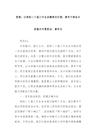 党课：以党的二十届三中全会精神为引领，青年干部在乡村振兴中勇担当、善作为