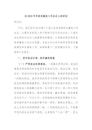 在2025年市政府廉政工作会议上的讲话