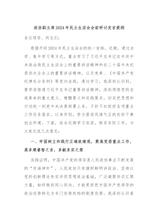政协副主席2024年民主生活会会前研讨发言提纲