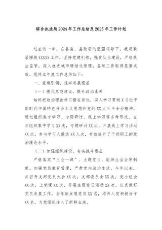 综合执法局2024年工作总结及2025年工作计划