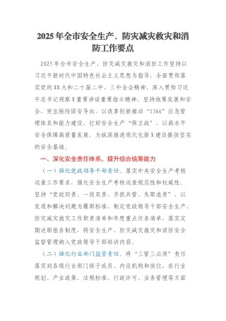 2025年全市安全生产、防灾减灾救灾和消防工作要点