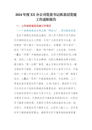 2024年度XX分公司党委书记抓基层党建工作述职报告