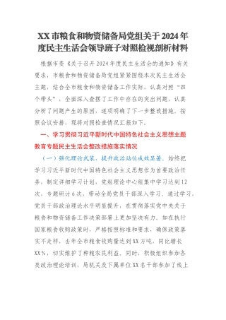 XX市粮食和物资储备局党组关于2024年度民主生活会领导班子对照检视剖析材料