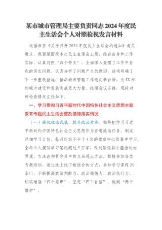 某市城市管理局主要负责同志2024年度民主生活会个人对照检视发言材料
