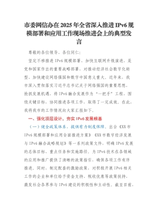 市委网信办在2025年全省深入推进IPv6规模部署和应用工作现场推进会上的典型发言