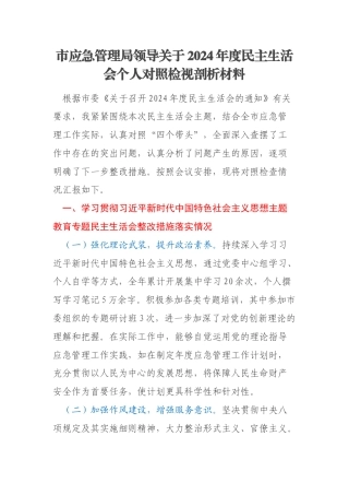 市应急管理局领导关于2024年度民主生活会个人对照检视剖析材料