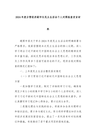 2024年度分管经济副市长民主生活会个人对照检查发言材料