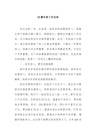XX镇年度工作总结