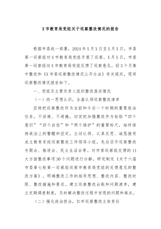X市教育局党组关于巡察整改情况的报告