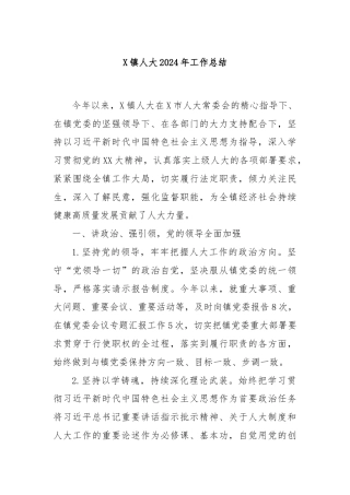 X镇人大2024年工作总结