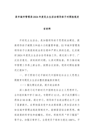 某市城市管理局2024年度民主生活会领导班子对照检视发言材料