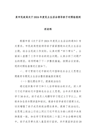 某市民政局关于2024年度民主生活会领导班子对照检视剖析材料
