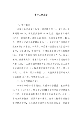 审计工作总结