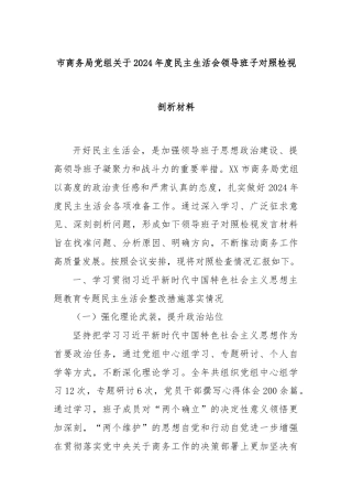 市商务局党组关于2024年度民主生活会领导班子对照检视剖析材料