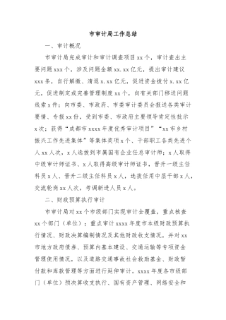 市审计局工作总结