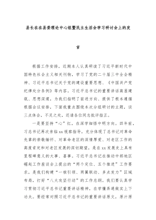 县长在在县委理论中心组暨民主生活会学习研讨会上的发言