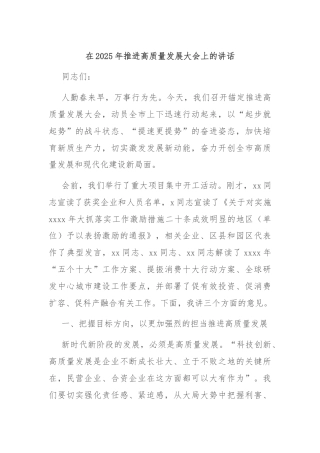 在2025年推进高质量发展大会上的讲话