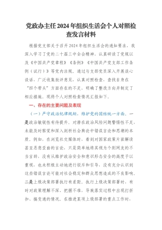 党政办主任2024年组织生活会个人对照检查发言材料