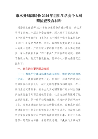 市水务局副局长2024年组织生活会个人对照检查发言材料