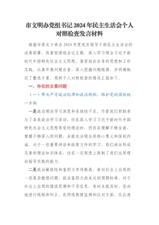市文明办党组书记2024年民主生活会个人对照检查发言材料