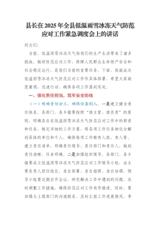 县长在2025年全县低温雨雪冰冻天气防范应对工作紧急调度会上的讲话