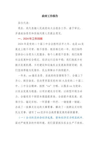 政府工作报告-乡镇人代会用