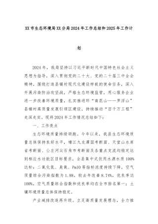 XX市生态环境局XX分局2024年工作总结和2025年工作计划