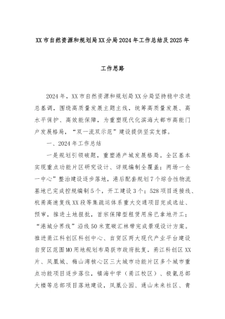 XX市自然资源和规划局XX分局2024年工作总结及2025年工作思路