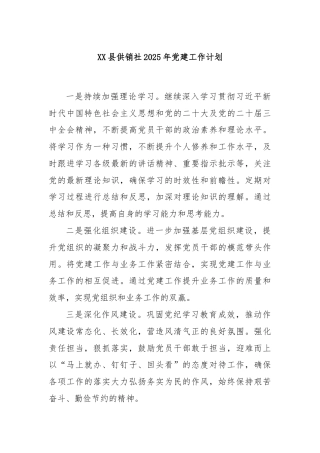 XX县供销社2025年党建工作计划