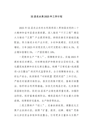 XX县农水局2025年工作计划