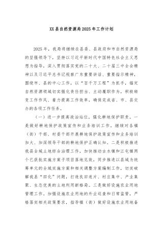 XX县自然资源局2025年工作计划