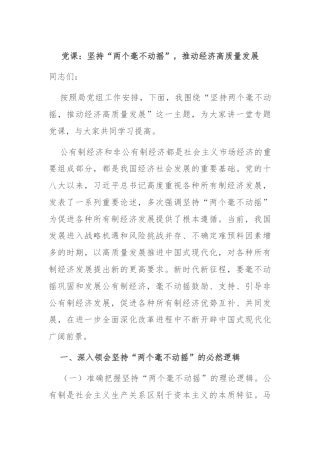 党课：坚持“两个毫不动摇”，推动经济高质量发展