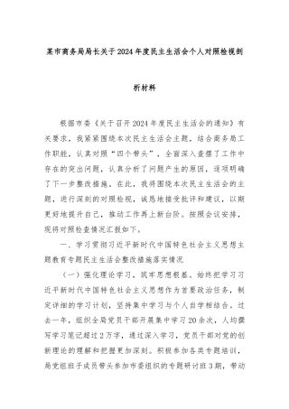 某市商务局局长关于2024年度民主生活会个人对照检视剖析材料
