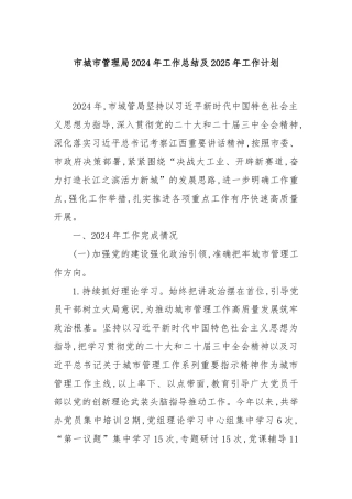 市城市管理局2024年工作总结及2025年工作计划