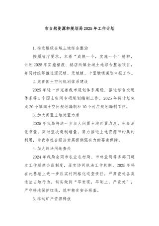 市自然资源和规划局2025年工作计划